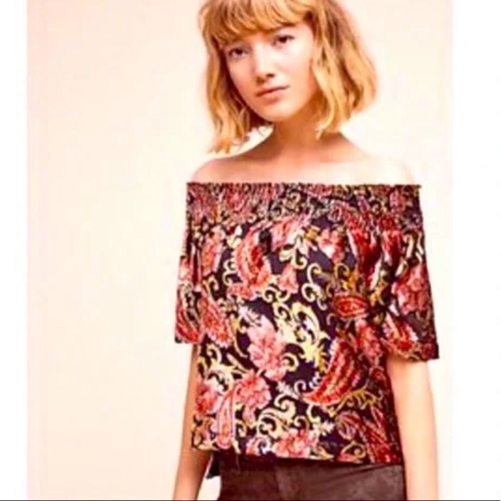 ANTHROPOLOGIE Seen Worn Kept velvet paisley blouse